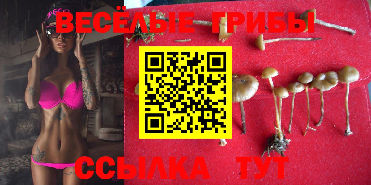Галлюциногенные грибы Psilocybe Серпухов